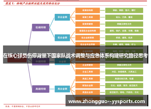 在核心球员伤停背景下国家队战术调整与应急体系构建研究路径思考 在核心球员伤停背景下国家队战术调整与应急体系构建研究路径思考