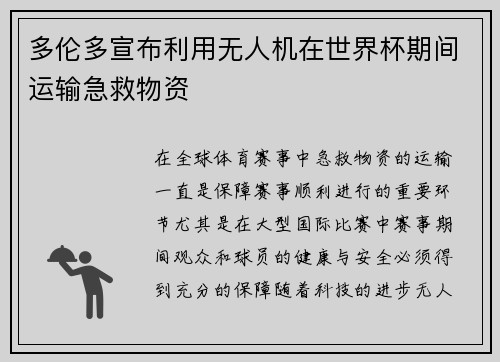 多伦多宣布利用无人机在世界杯期间运输急救物资
